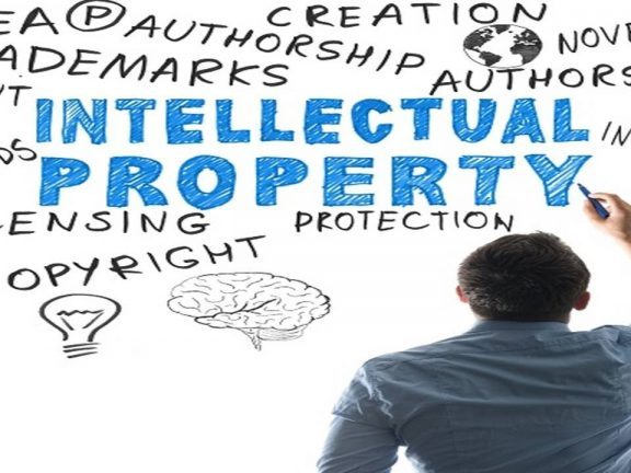 MEM Concessions LLC – Understanding Intellectual Property Rights